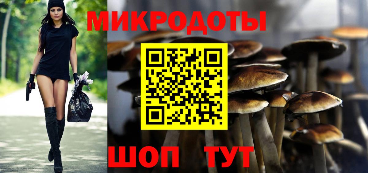 Ирбит  Псилоцибиновые грибы MAGIC MUSHROOMS  Вход с VPN 