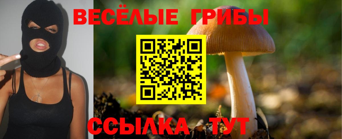 Галлюциногенные грибы Magic Shrooms Ирбит